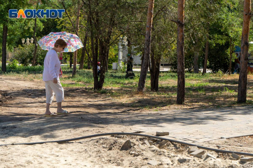 Мало деревьев, отсутствие газонов, плохое состояние парков: мэрия назвала проблемы благоустройства Волгограда