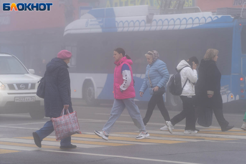 Комфортно для прогулок и спорта: погода в Волгограде на 8 ноября