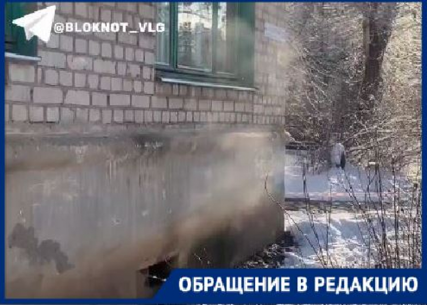 Вонь, мошкара и тараканы: парящий подвал неделю кошмарит жителей дома на юге Волгограда