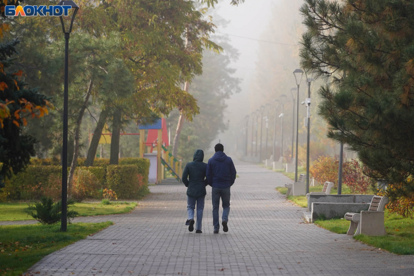 «Чувствуешь издевательство»: свои зарплаты честно озвучили волгоградцы