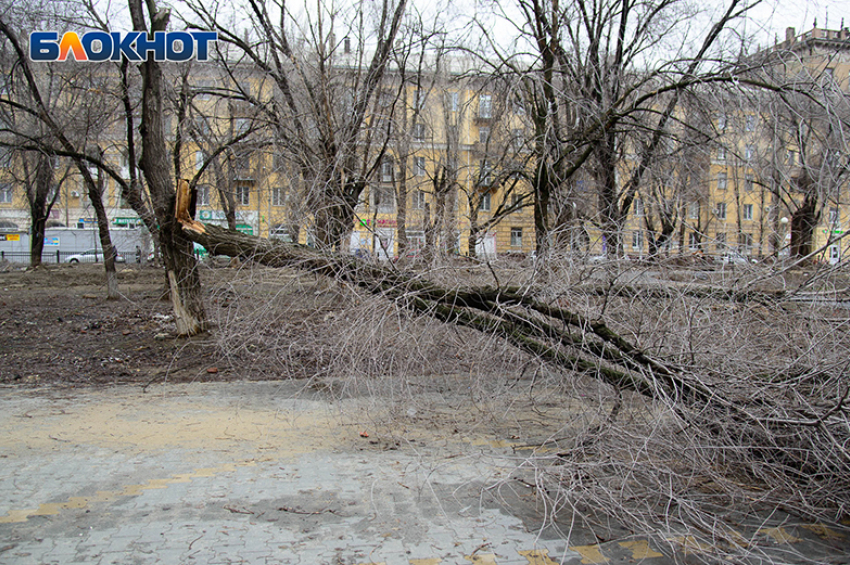 Разрушительную силу ветра запечатлел волгоградский фотограф 