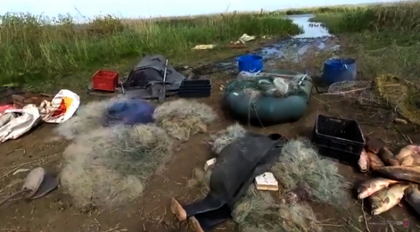 На видео попало задержание в Волгоградской области браконьеров с богатым уловом