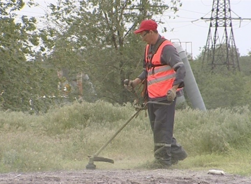 В Волгограде из-за пожарной угрозы начали убирать свалки