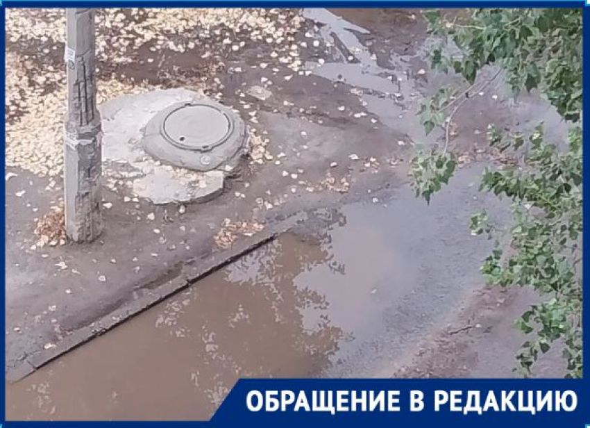 Извергаются фекалии из колодца: уборке речки-вонючки мешают сваленные ветки в Волгограде 