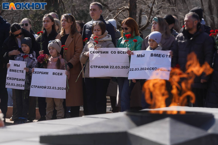 Школы и вузы Волгограда вернулись к привычному расписанию с 25 марта