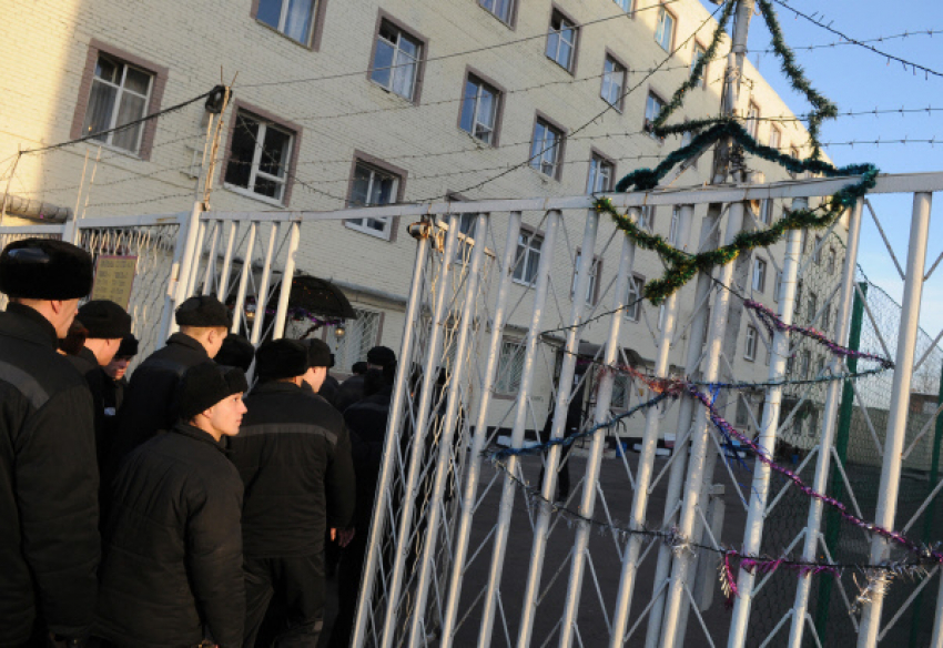 Под Волгоградом осужденные провернули аферу с деньгами в колонии