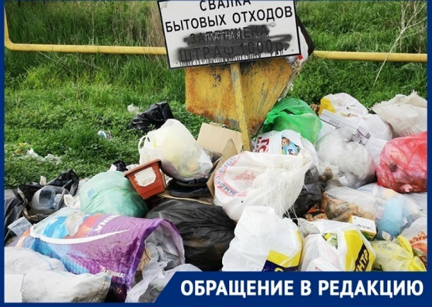 Стоянки с мусором оккупировали дорогу к городу Котельниково Волгоградской области