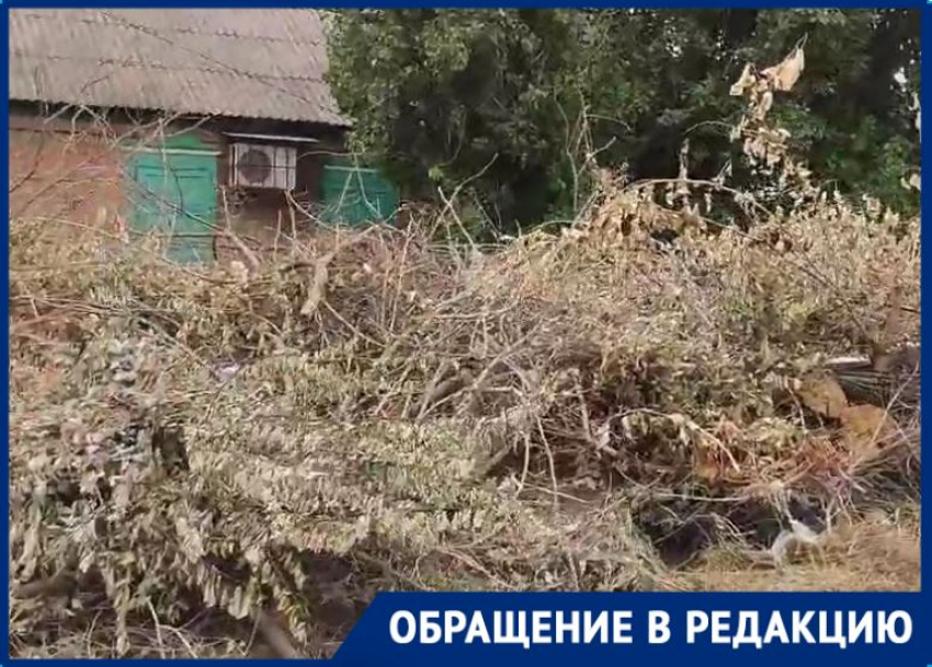 Волгоградцы уехали из частного сектора в квартиру из-за зловонной свалки 