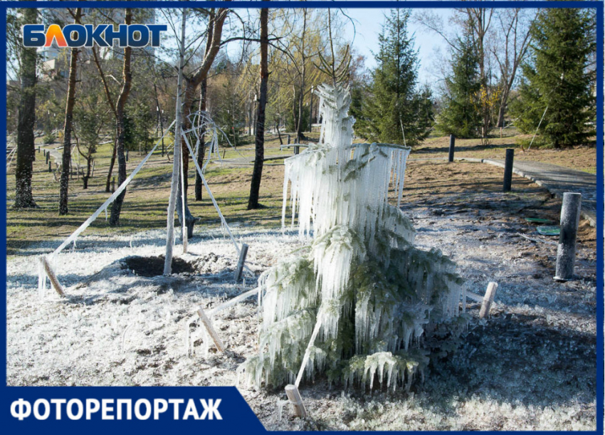 В Волгограде ночным поливом заморозили сквер Агашиной