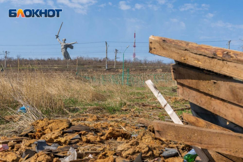 Власти Волгоградской области прокомментировали изменение статуса земли вокруг Мамаева кургана