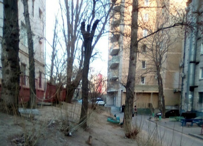 В Волгограде за зданием центральной налоговой нашли подозрительный чемодан