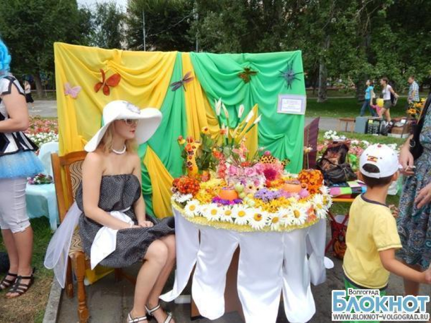 В Волгограде названы победители выставки цветов, прошедшей на День города