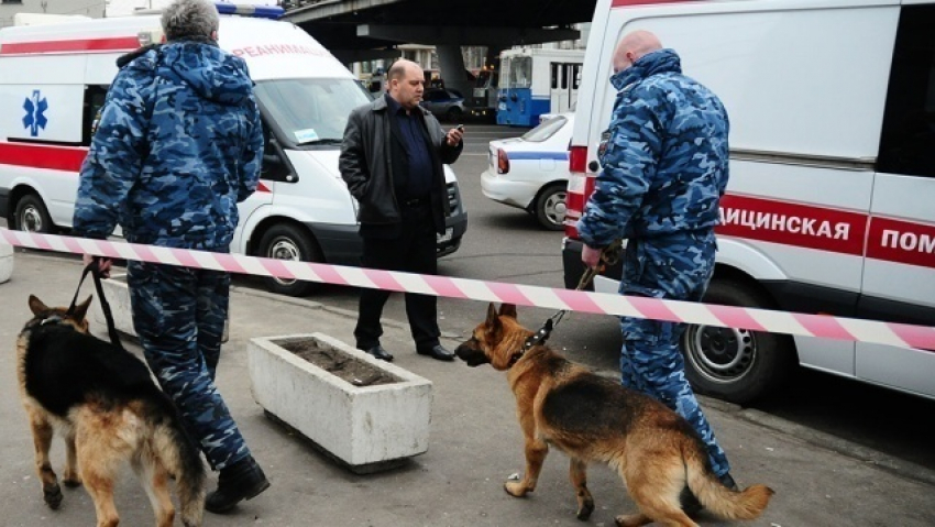Под Волгоградом 16-летний подросток «заминировал» магазин, где ему отказались продавать сигареты 
