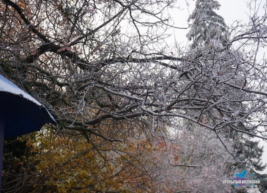 На видео попал первый снег в парке Волжского