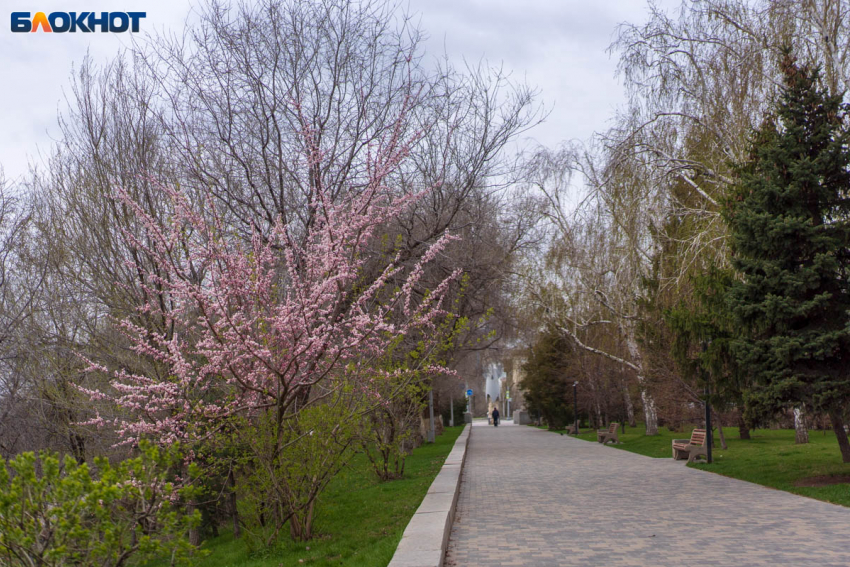  О похолодании до 0 предупредили синоптики волгоградцев