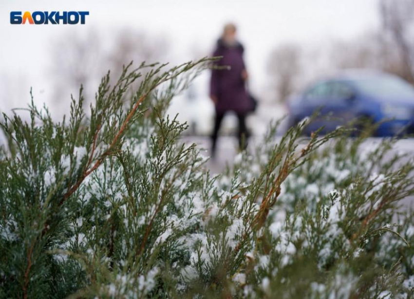 В Волгоградской области предупредили о шторме и снегопаде