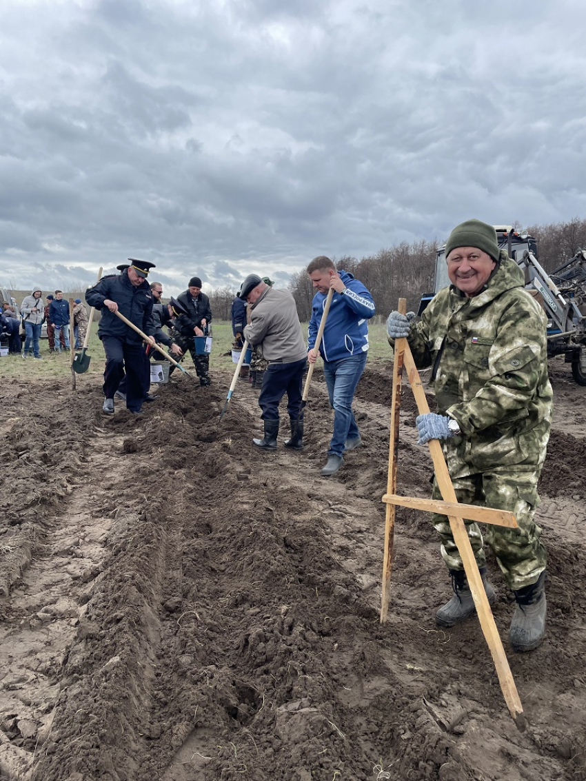 Четыре тысячи дубов высадили в Волгоградской области в память о погибших