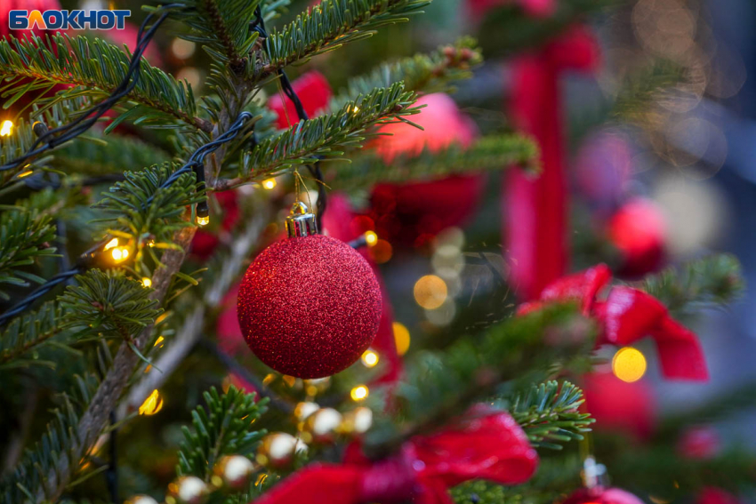 "Это сто пудов на Бекетовке в шлаках": волгоградцев развеселило новогоднее украшение центра Москвы