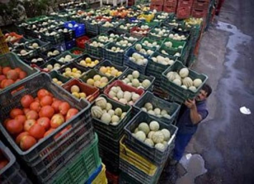 Возобновление поставок овощей и фруктов из Египта в Россию продиктовано не дефицитом товара, а политикой, – волгоградский эксперт 