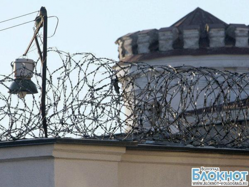 В Волгоградской области 55 осужденных по амнистии освободились от уголовной ответственности