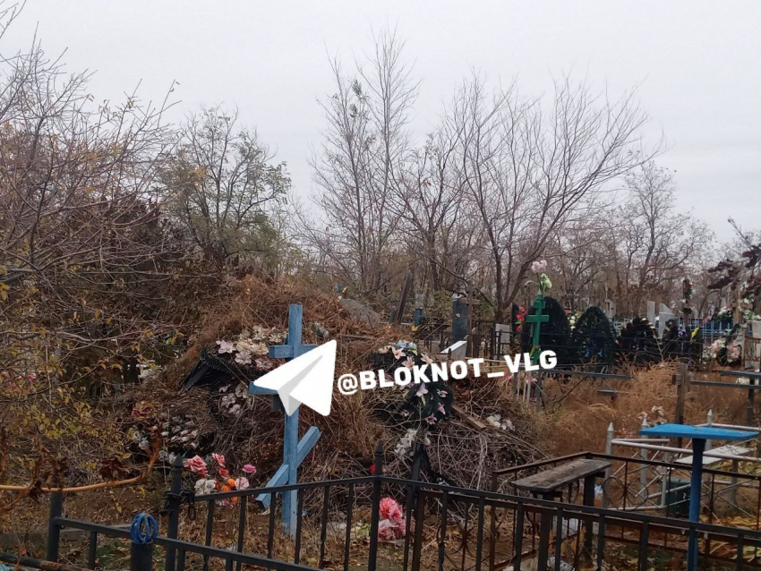 Еще одно волгоградское кладбище завалили мусором 