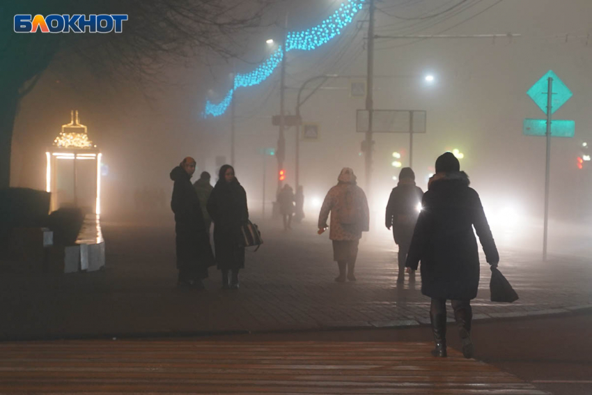 В Волгоградской области зафиксировали низкую конкуренцию за рабочие места 