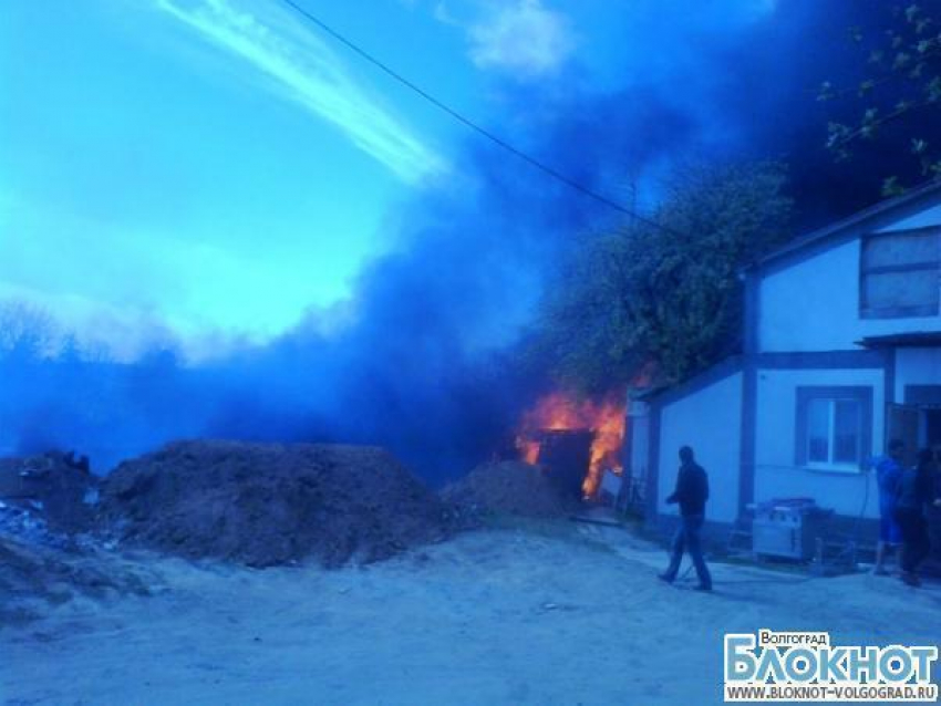 В Волгограде в настоящее время горит 3 гектара камыша. Угроза возгорания домов