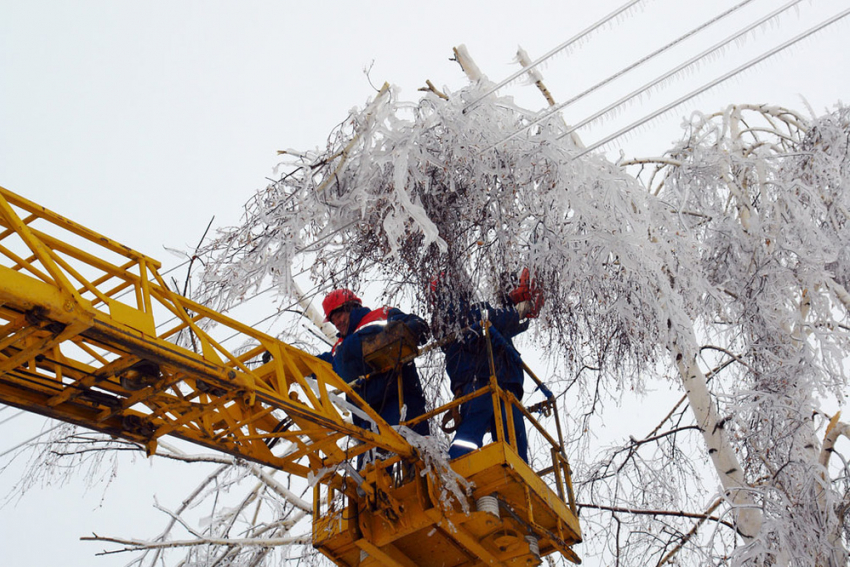 Два района Волгоградской области остались без электроснабжения из-за мокрого снега