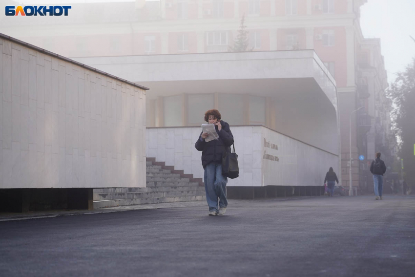 Вход в MAХ начали запрашивать Госуслуги у волгоградцев