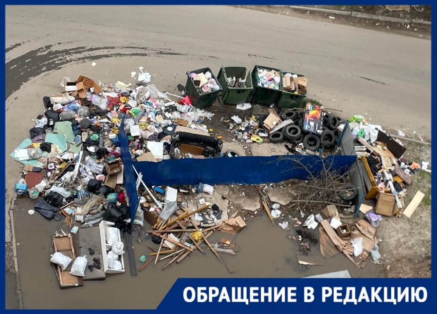 Крысы поселились на мусорных завалах у 9-этажек в Волгограде