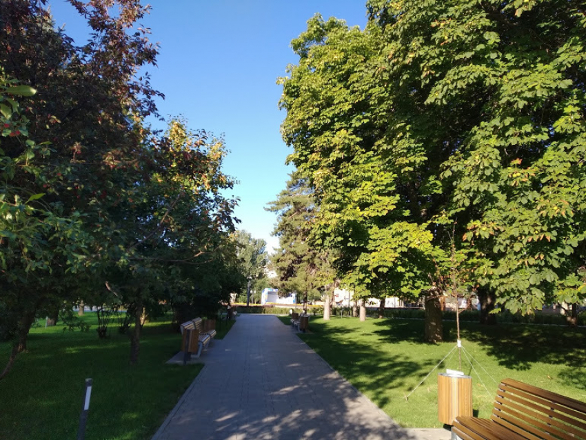Два сквера и парк благоустроят в Волгограде