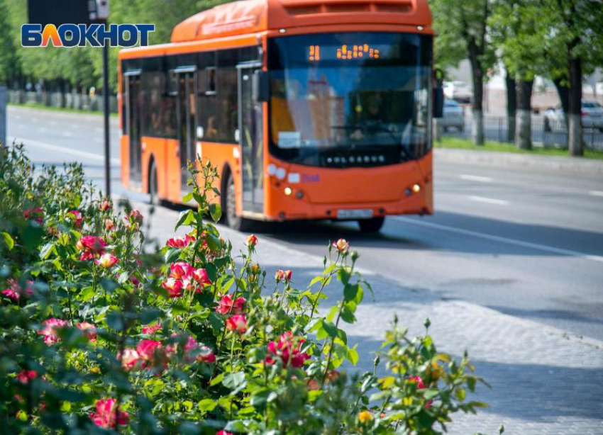 Свободную работу маршруток и автобусов с 29 июня разрешили в Волгограде
