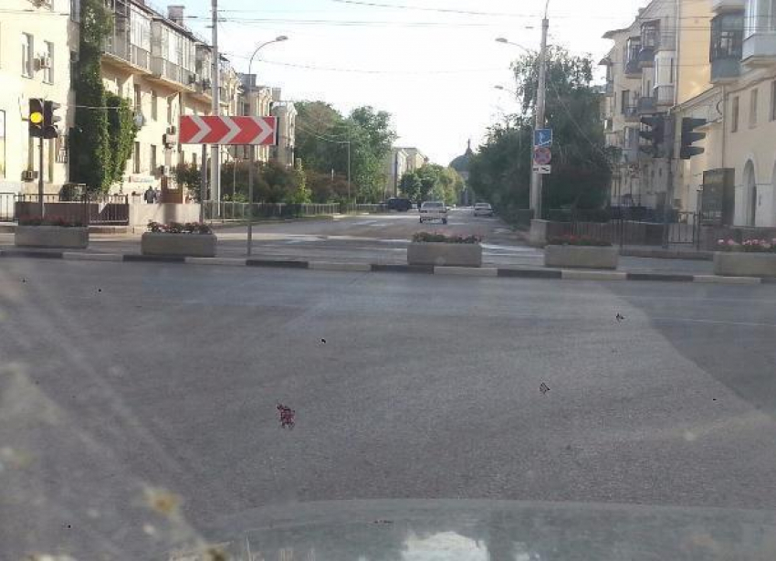 В центре Волгограда «Лада» протаранила цветочную клумбу