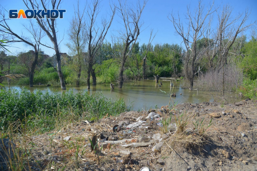 Приговор по делу «мусорного спрута» на 171 млн рублей утвердили в Волгограде 