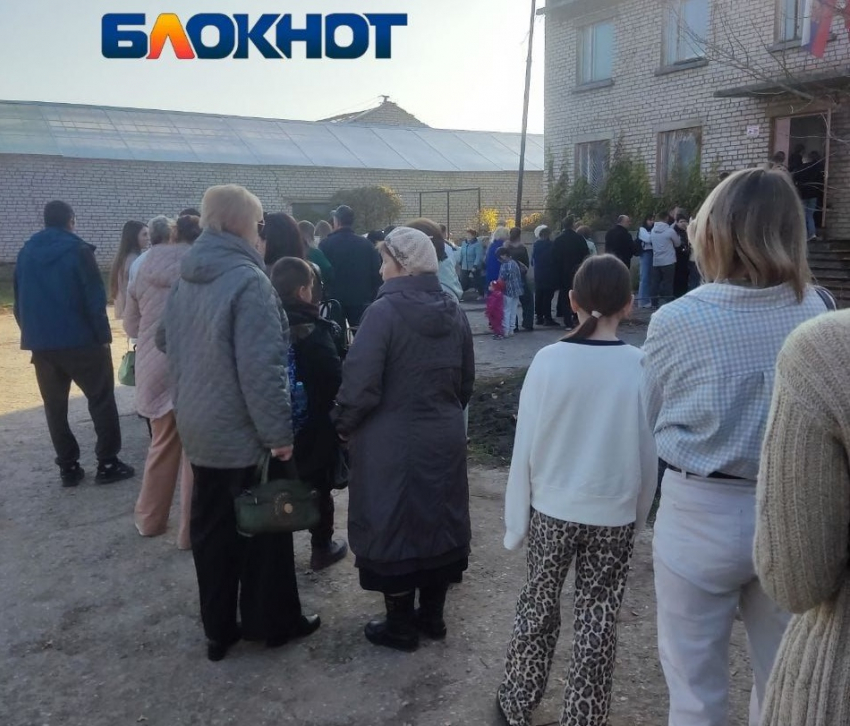 Почти 5 тысяч человек собрали очереди под Волгоградом ради хризантем