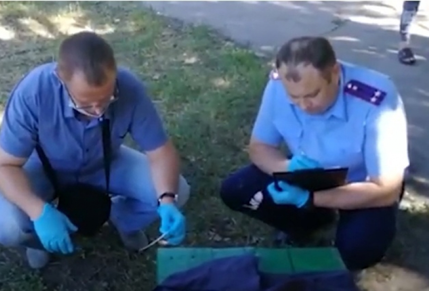 Появилось видео с места расследования кровавой бойни в Новоаннинском