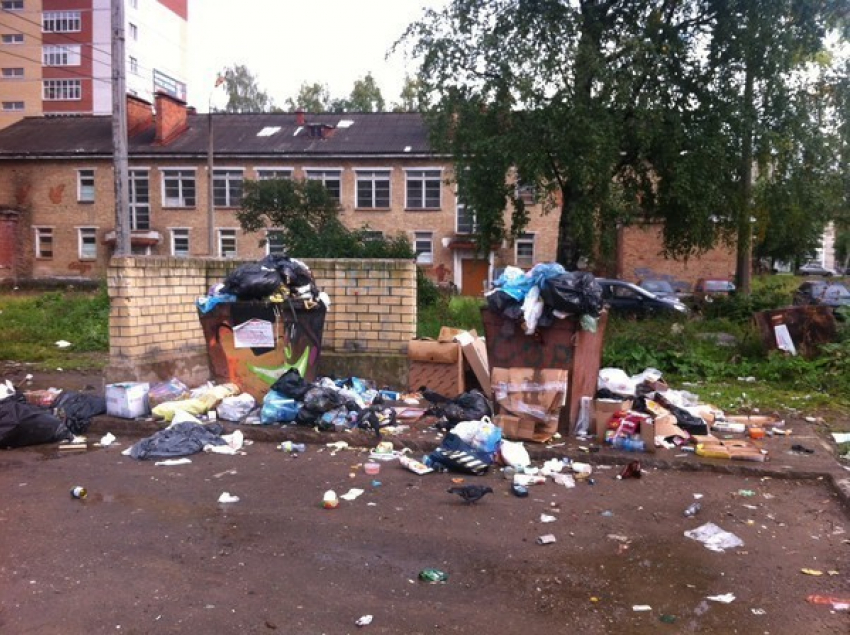 В Волгограде из-за долгов жильцов неделями не вывозят мусор