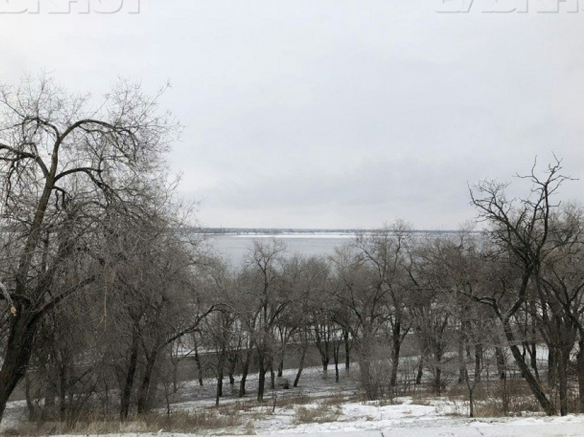 Метелями и морозами порадует волгоградцев погода в День Защитника Отечества