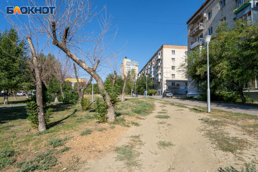 В Волгограде три депутата сложили свои полномочия