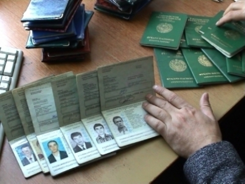 Под Волгоградом организатор незаконной миграции приговорен к 2,5 годам