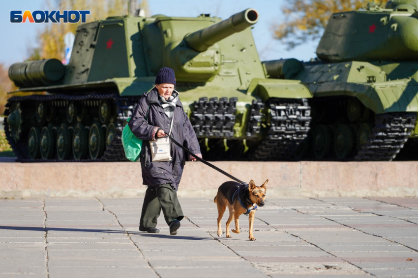 В Волгограде на январских праздниках пришлось отдавать за жилье по 2500 рублей за ночь