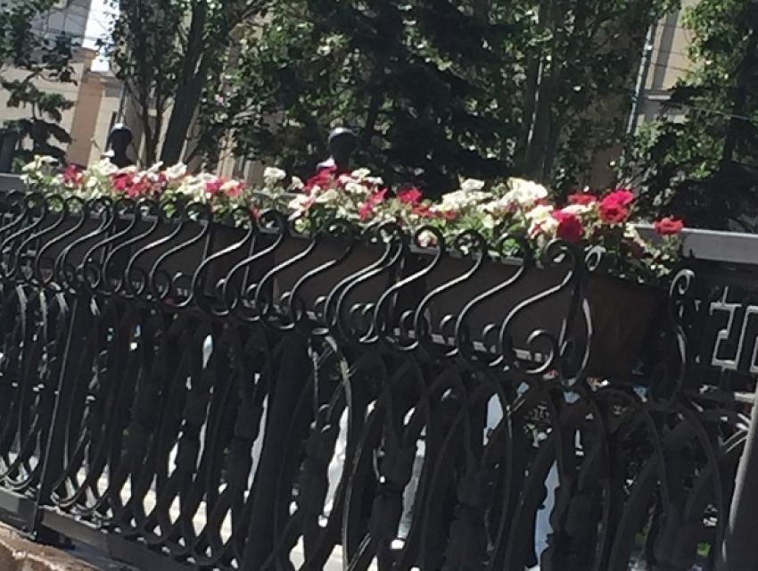 Мэрия Волгограда решила украсить цветочными горшками проспект Ленина и «закопать» в цветочную клумбу памятник