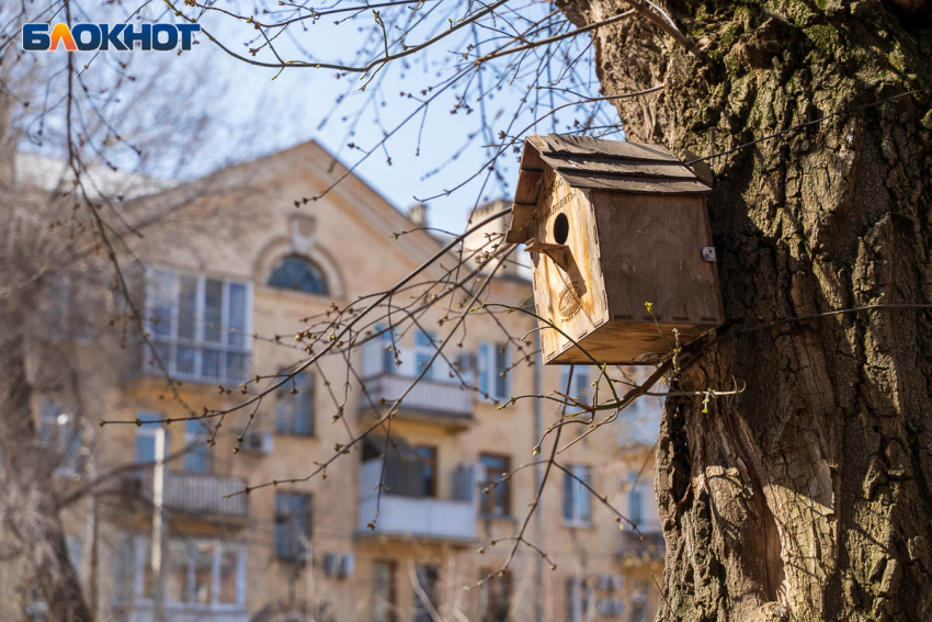 В Волгоградской области потеплеет до 18 градусов 