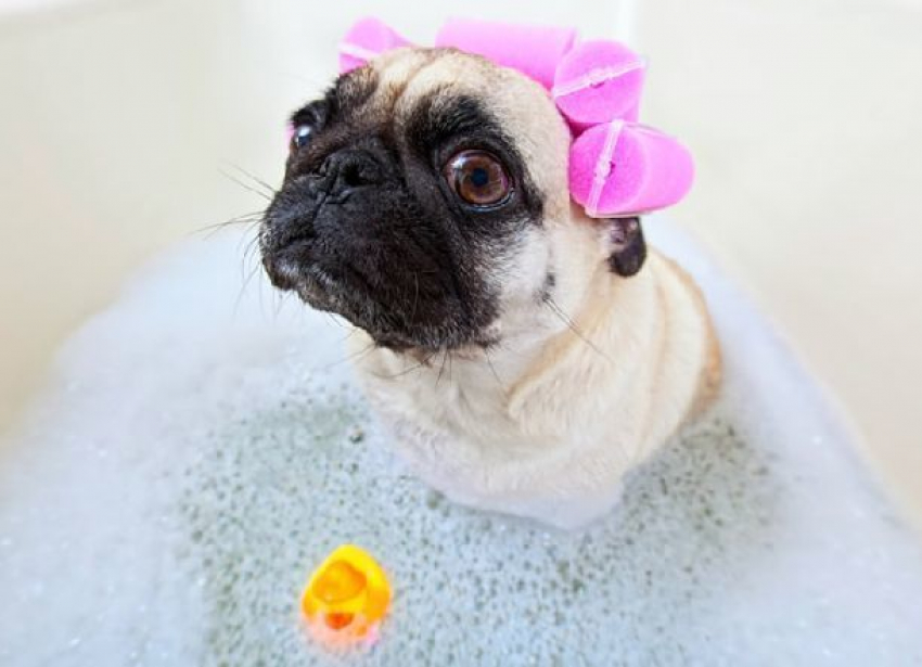 На 20 дней останутся без горячей воды жители запада Волгограда 