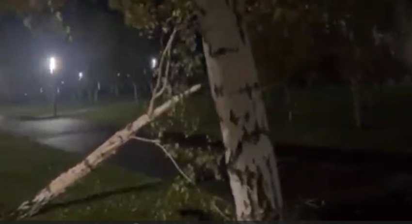 Взбесившаяся иномарка устроила погром в волгоградском парке: видео с последствиями