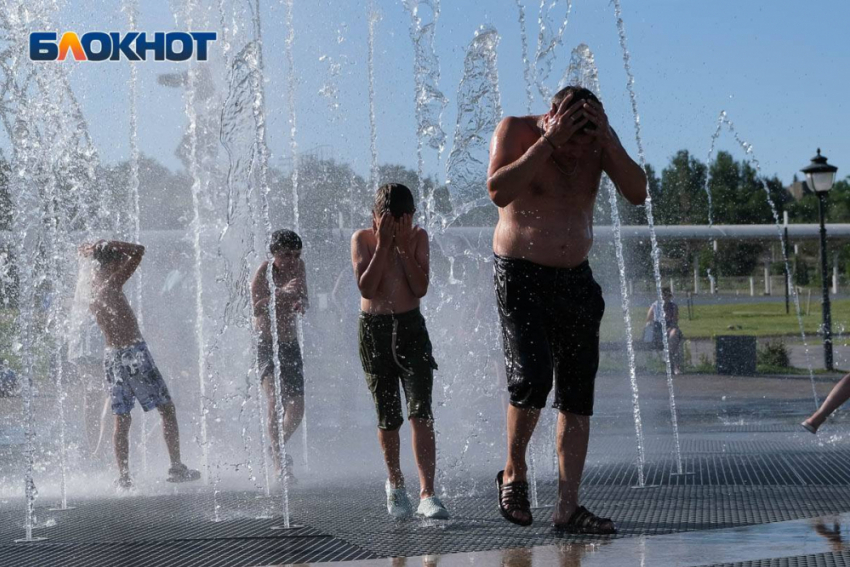 Сколько стоит спастись от 40-градусной жары в Волгограде: реальные цены на необходимые товары