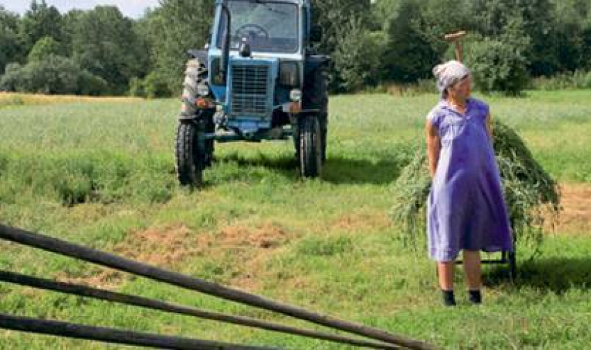 Под Волгоградом доярка украла у любимого тракториста 16 тысяч 