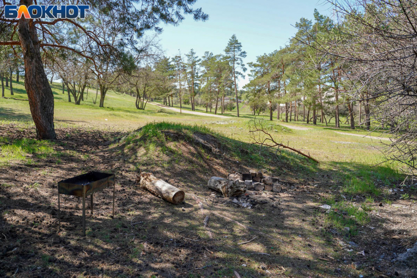 Шашлычный сезон отменили в лесах Волгоградской области 
