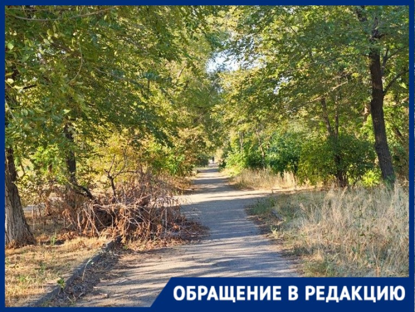 Идеальным укрытием для извращенца стал волгоградский парк напротив школы