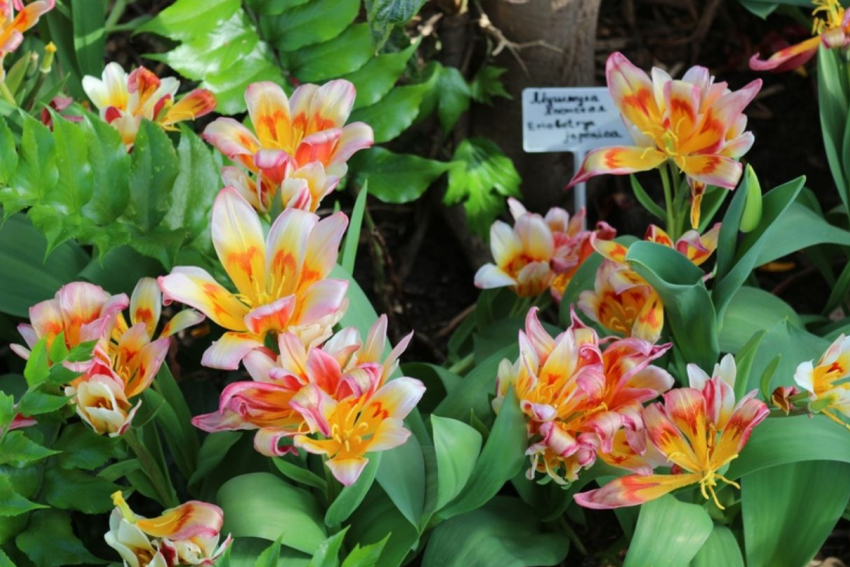 Бешено популярную у волгоградцев выставку продлили на неделю